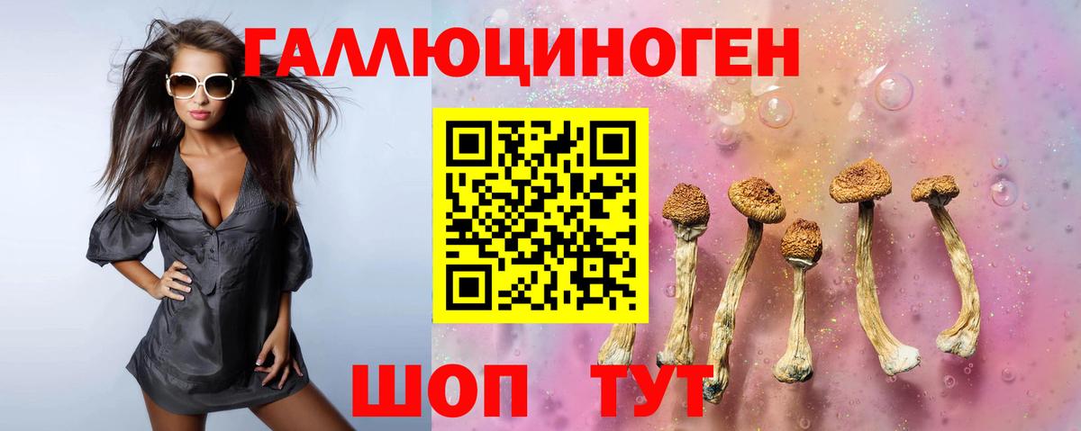 Псилоцибиновые грибы Psilocybe Советск