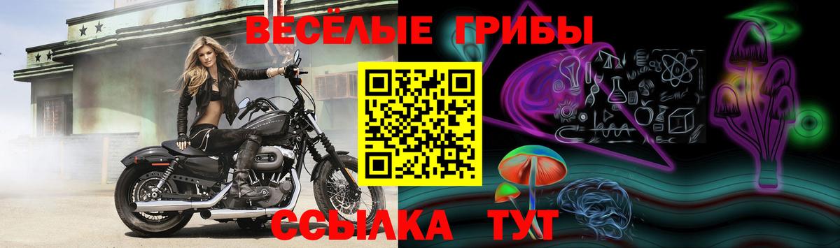 Советск  Галлюциногенные грибы ЛСД  Вход с VPN 